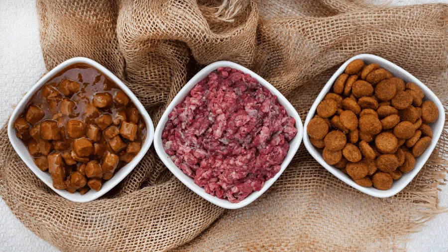 Croquettes ou pâtée